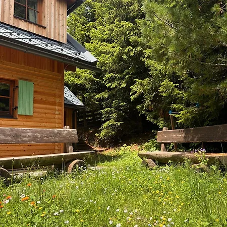 Alpesi faház Neu Komplett Saniert - Alpine Escape *